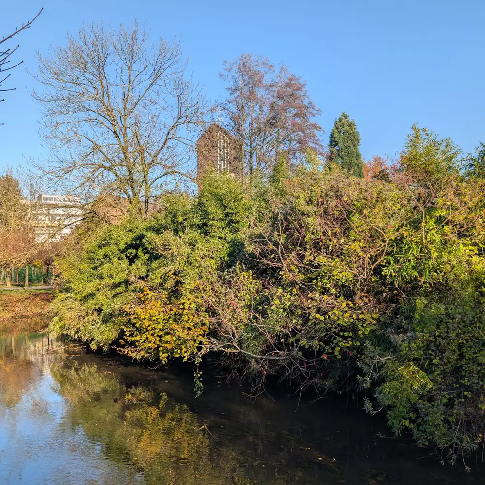 Grevenbroich Online - Das Online Portal für Grevenbroich