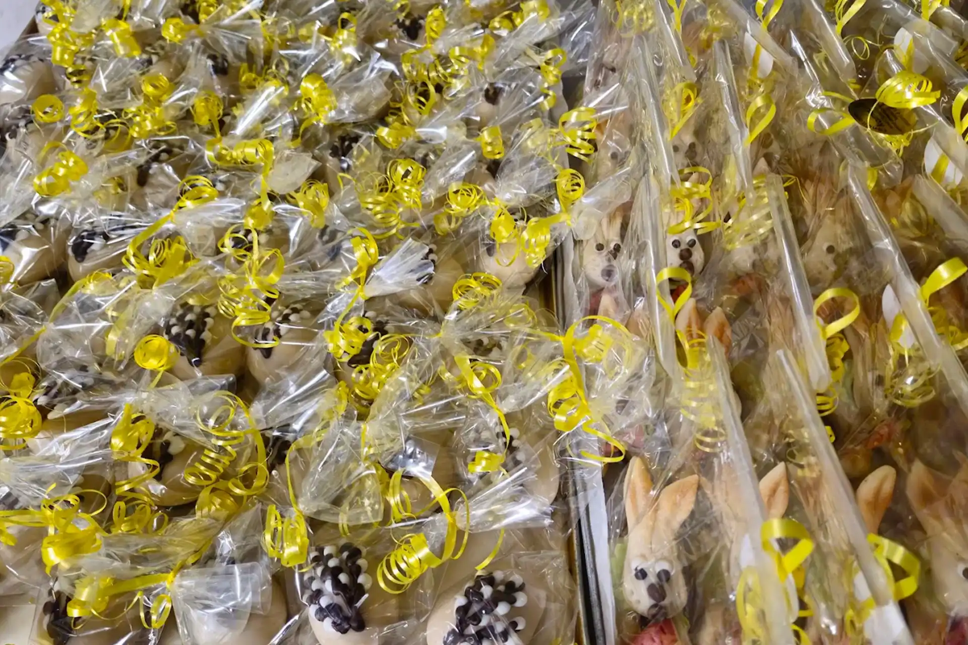 Grevenbroich Online - Das Online Portal für Grevenbroich